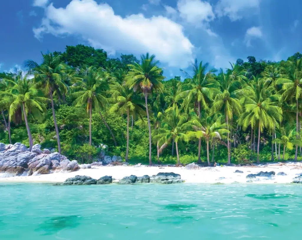 Contact Us Villa Ray Samui contact-us-villa-ray-samui